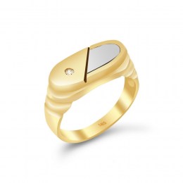 Ανδρικό δαχτυλίδι κίτρινο χρυσό ζιργκόν D11400576