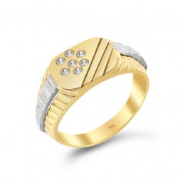Δαχτυλίδι ανδρικό κίτρινο χρυσό ζιργκόν D11400563