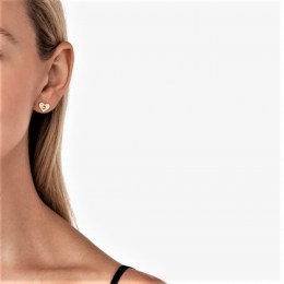 γυναικεία σκουλαρίκια Michael Kors Premium MKC1527AN710(b)
