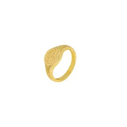 γυναικείο επίχρυσο ασημένιο δαχτυλίδι ζαγρέ D21100132(b)