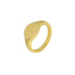 γυναικείο επίχρυσο ασημένιο δαχτυλίδι ζαγρέ D21100132