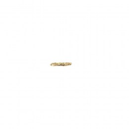 σετ κοσμημάτων γυναικείο κίτρινο χρυσό ζαγρέ SE11100017(c)